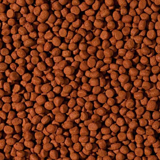 Cichlid Carnivore Medium Pellet granuliuotas maistas mėsėdžiams ciklidams 1000 ml