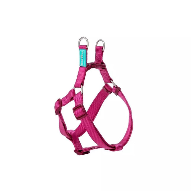 Petnešos Basic Nylon A-Type, vyšninė, 20 mm x 51-70 cm