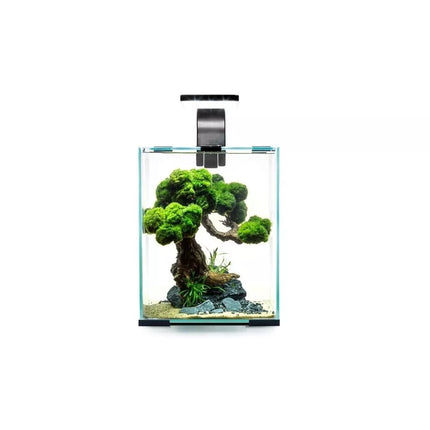 Aquael Shrimp Set Smart Day&Night 10 Black akvariumas su įranga krevetėms 10 l