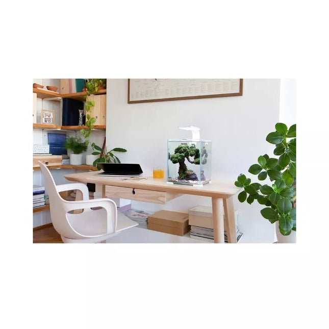 Aquael Shrimp Set Smart Day&Night 10 White akvariumas su įranga krevetėms 10 l