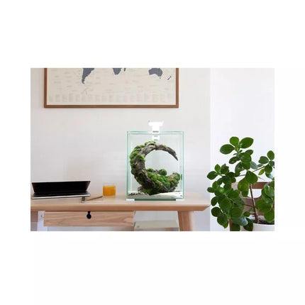 Aquael Shrimp Set Smart Day&Night 10 White akvariumas su įranga krevetėms 10 l
