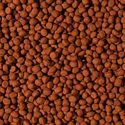 Cichlid Carnivore Medium Pellet granuliuotas maistas mėsėdžiams ciklidams 1000 ml
