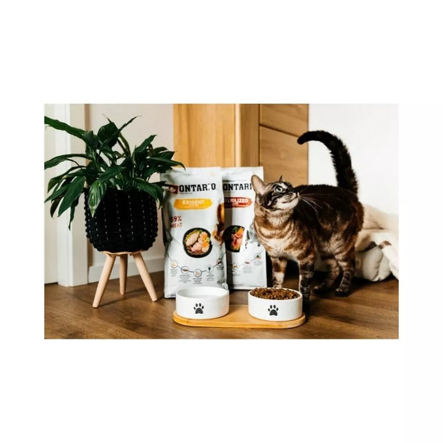 Dubenėliai su bambukiniu padėklu, S, baltos spalvos