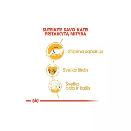 Royal Canin Maine Coon Sausas maistas Meino meškėnų veislės katėms 0,4 kg