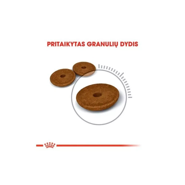 Royal Canin FCN Digestive Care maistas suaugusioms katėms gerai virškinimo sistemos veiklai 0,4 kg