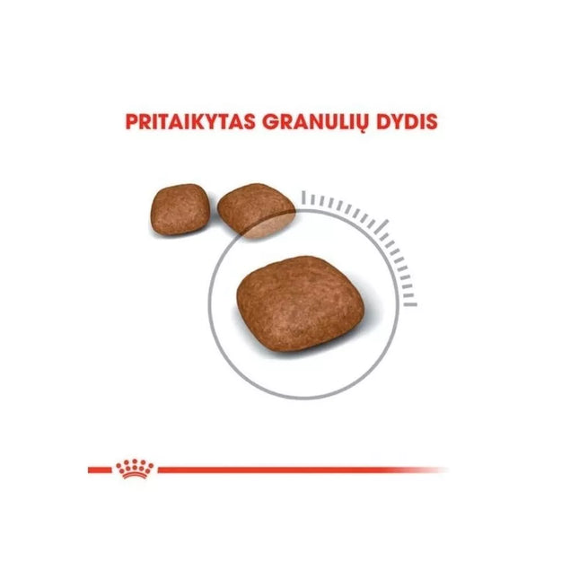 Royal Canin FCN Urinary Care maistas katėms šlapimo sistemos ligų profilaktikai 0,4 kg