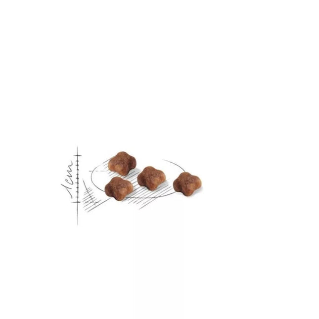Royal Canin FHN First Age Mother and Babycat maistas maitinančioms katėms ir kačiukams 0,4 kg