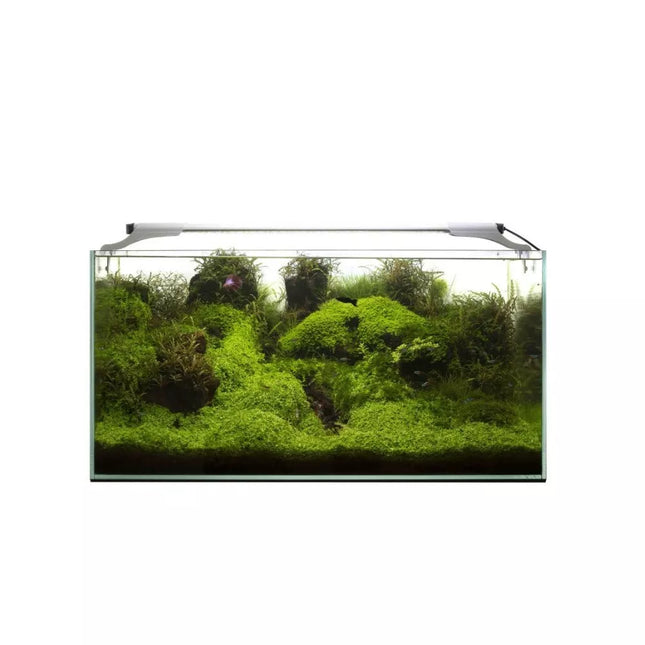 Leddy Slim Plant, 36 W, 100-127 cm, baltas