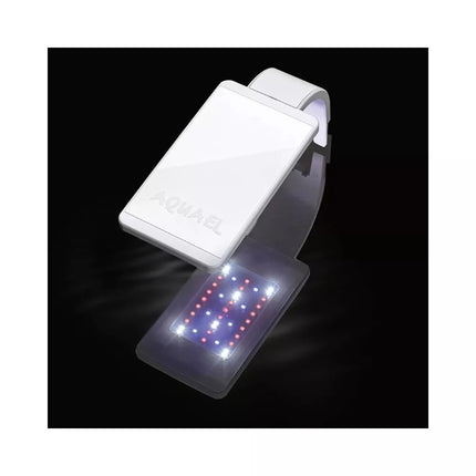 Leddy Smart 4,8 W Plant šviestuvas (baltas)