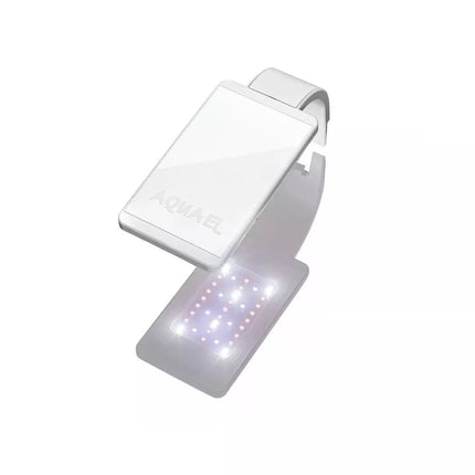 Leddy Smart 4,8 W Plant šviestuvas (baltas)