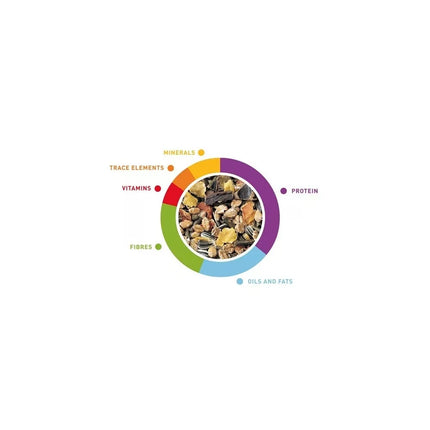 Maistas suaugusiems dekoratyviniams triušiams Grandmix 850 g