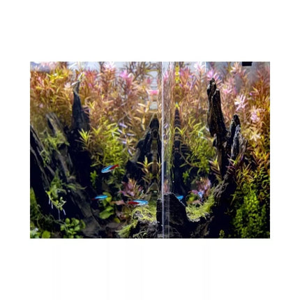 Opti Bent 70 akvariumas stačiakampis, juodas, 39x39x45 cm, 68 l
