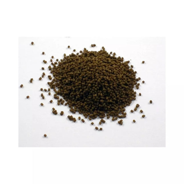 Pašaras žuvims Dr. Bassleer Biofish Food Acai L, 60 g