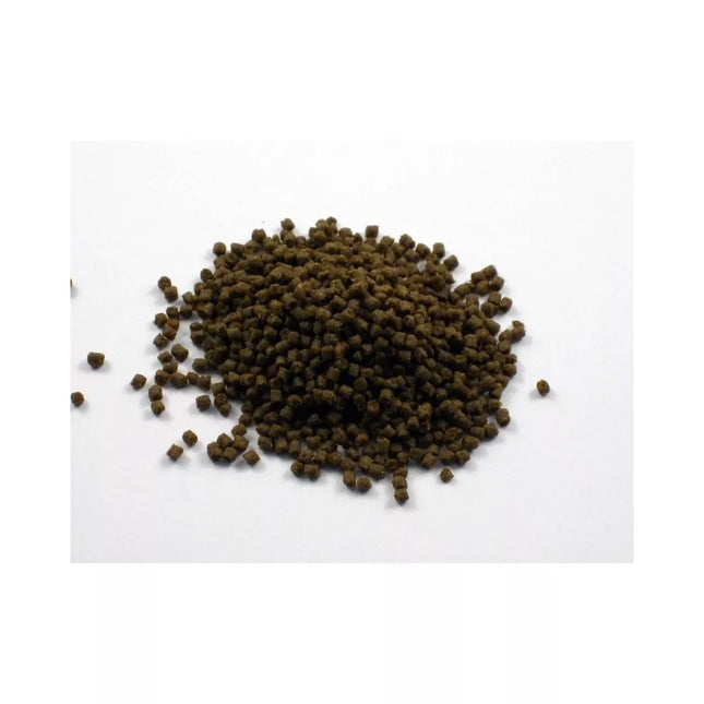 Pašaras žuvims Dr. Bassleer Biofish Food Aloe XL, 68 g