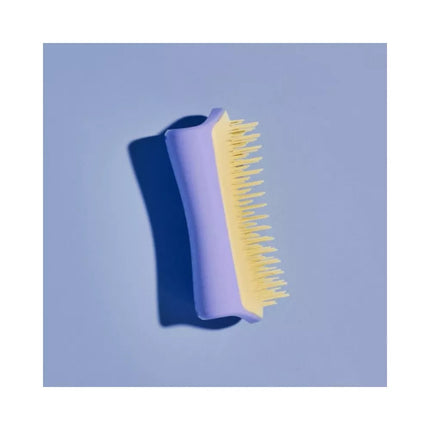 Pet Teezer plaukų šepetys gyvūnams Detangling&Dog Grooming Brush Small, violetinis