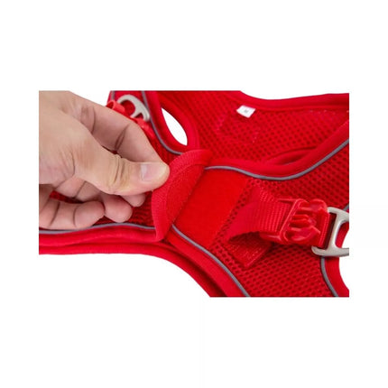 Petnešos Soft, vyšninės, XS, 20-35 cm