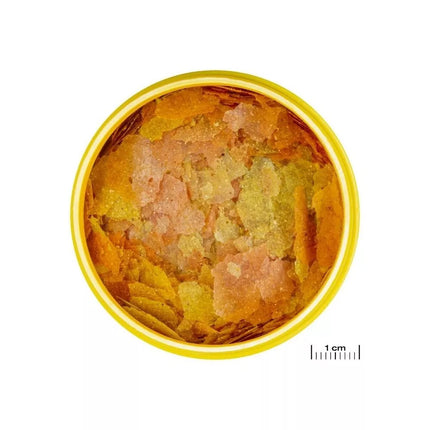 ProNovo Color Flakes M universalus pašaras žuvims 100 ml