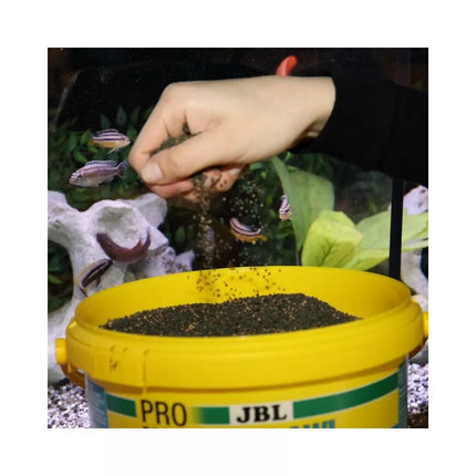 JBL ProNovo Malawi Grano M pašaras žuvims 5,5 l