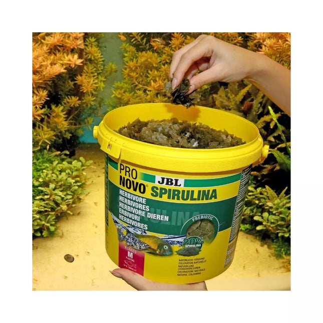 JBL ProNovo Spirulina Flakes M pašaras žuvims 5,5 l