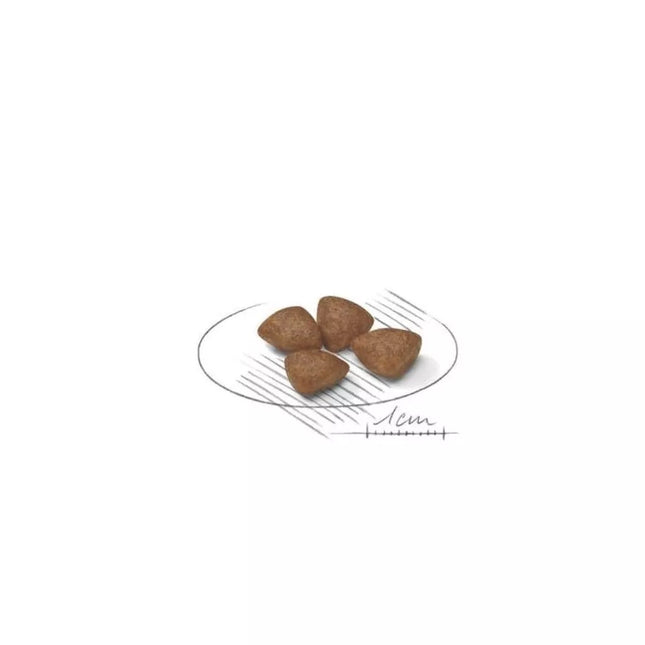 Royal Canin SHN MINI Starter maistas kalytėms ir nujunkomiems šuniukams 8 kg