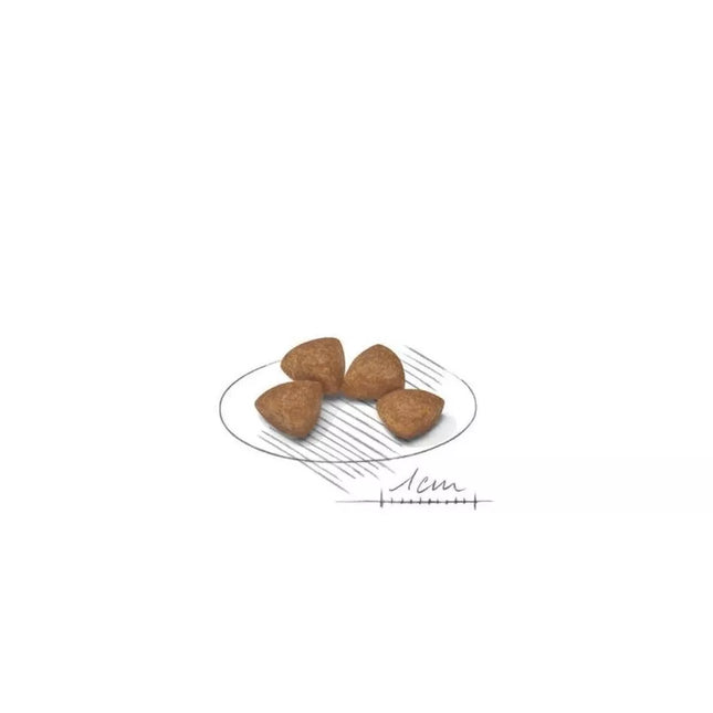 Royal Canin SHN X-SMALL Puppy maistas jauniems šuniukams 1,5 kg