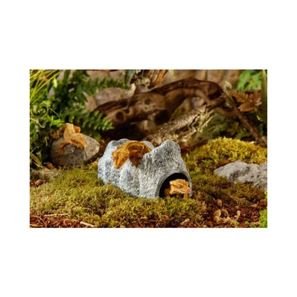 Slėptuvė ropliams Exoterra Wet Rock Large, 11x11x20 cm