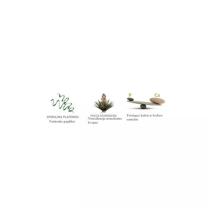 Maistas jauniems dekoratyviniams triušiams Wellness Young Dwarf Rabbits 2x1 kg