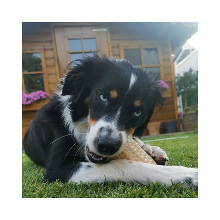 Žaislas šunims guminis žemės riešutas, 11 cm