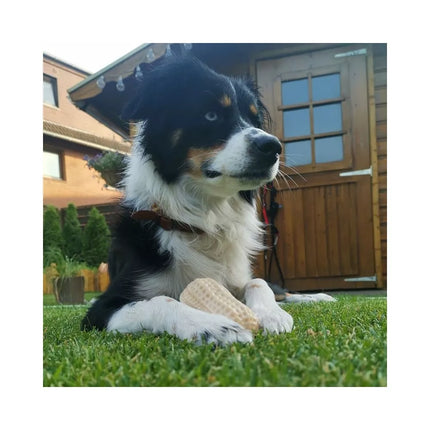 Žaislas šunims guminis žemės riešutas, 11 cm